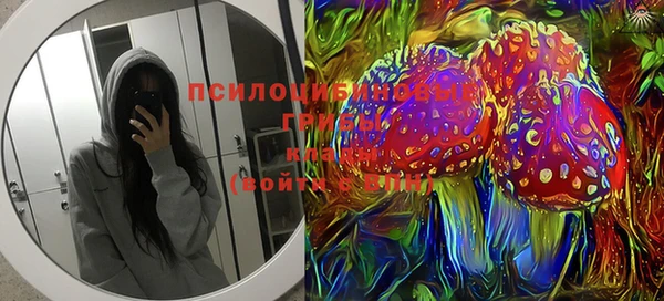 марки nbome Белокуриха