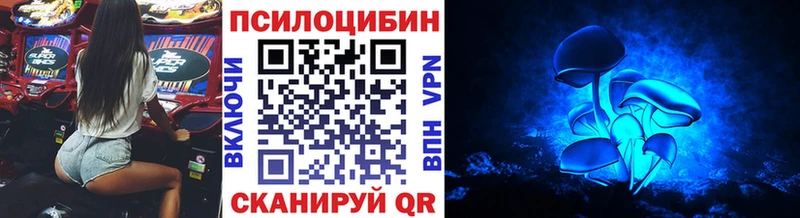 наркотики  Магас  Псилоцибиновые грибы прущие грибы 